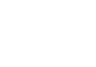 FS12160 Orange Brown       FS12197 Int’l Orange, ANA508       FS12199 Coastguard Red