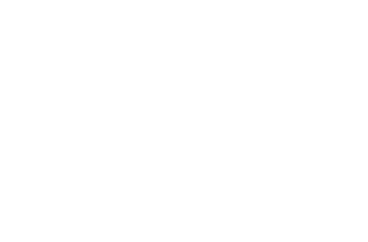 FS21310       FS21400       FS21433