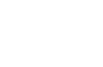 FS20061       FS20062       FS20065 Brown 356