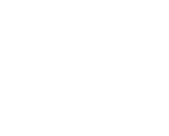 FS36356 US Army #2246 Pewter       FS36357       FS36373