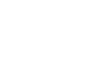 X33 - Bronze       X34 - Metallic Brown       X35 - SG Clear