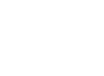 AK701 Grau RAL7027       AK702 Gelbbraun RAL8000       AK703 Graugrun (Oliv Khakibrun) RAL7008