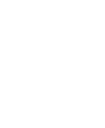AK2064 D2 Green Black       AK2065 C2 Trainer Yellow
